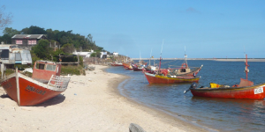 "Dove non c'è indifferenza, regna l'umano", testimonianza di Elisa dall'Uruguay durante il coronavirus