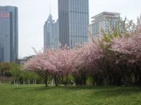 Peter in Suzhou: "The very relaxed pace of life surprised me"