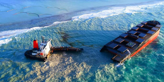Disastro ecologico a Mauritius, dalla voce di una expat che vive sull'isola