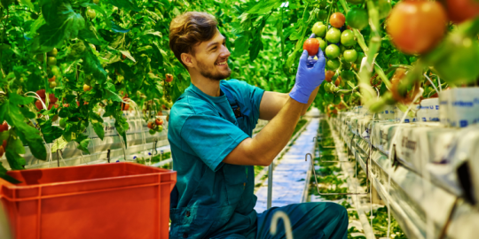 Acquisire esperienze di lavoro internazionali durante la crisi