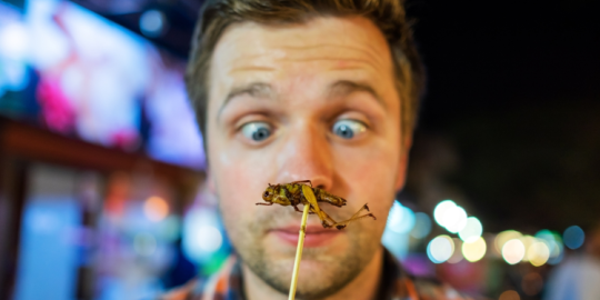 I cibi più strani del mondo che vi lasceranno a bocca aperta