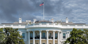 Présidentielle aux États-Unis : ce qu'attendent les expatriés