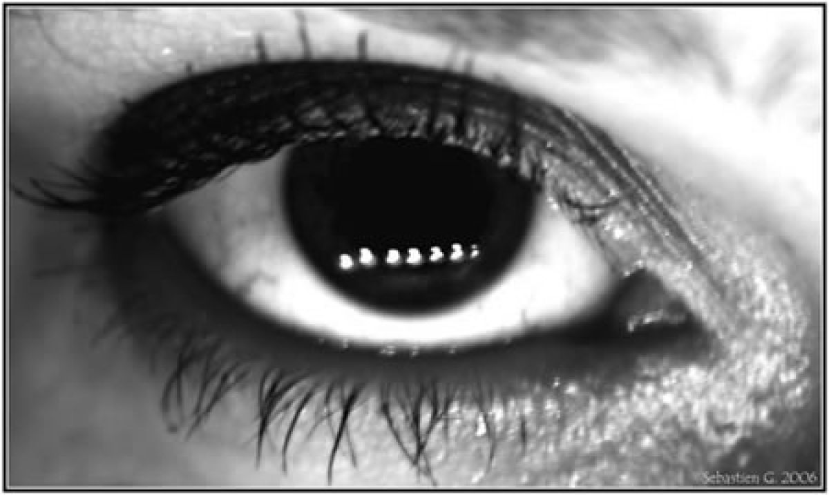 New York, la Dolce Vita