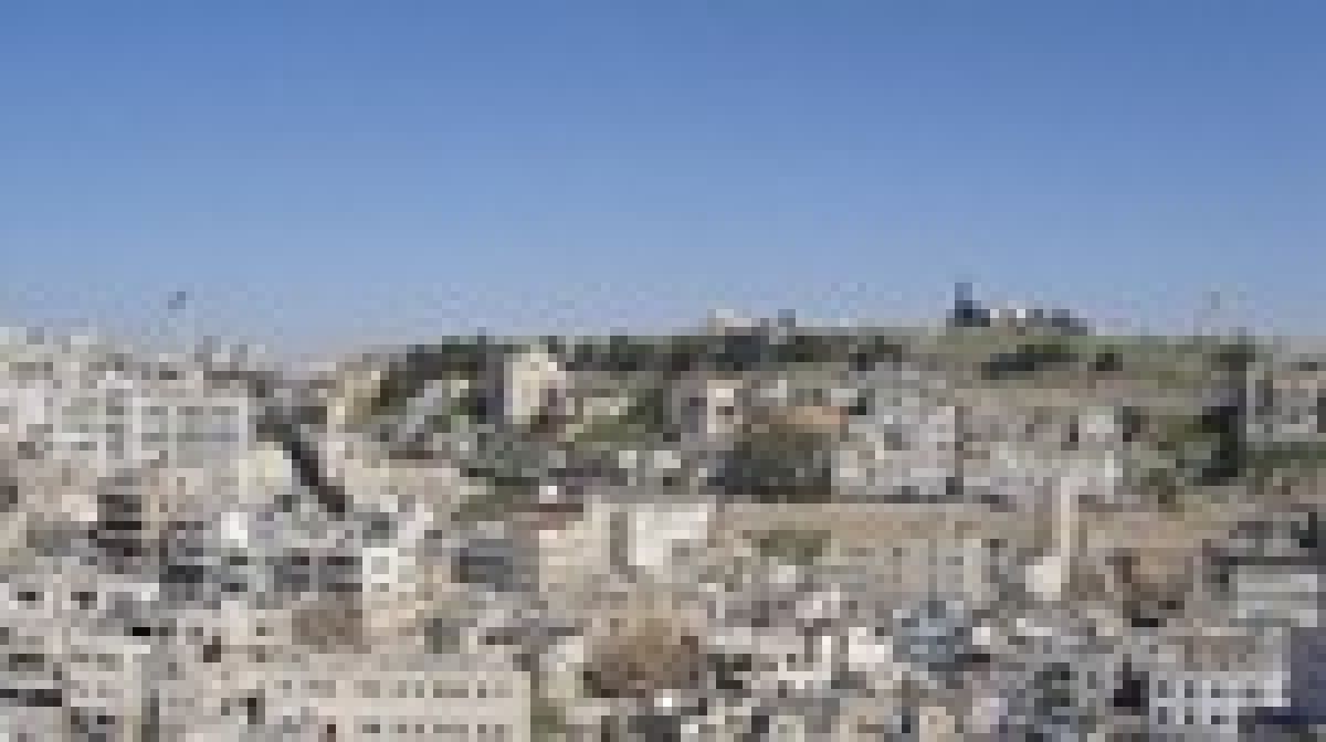 Bibs, Babs, Bobs in Amman