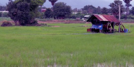 Mike in Phitsanulok: 