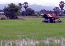 Mike in Phitsanulok: "The cost of living here is lower than the UK"