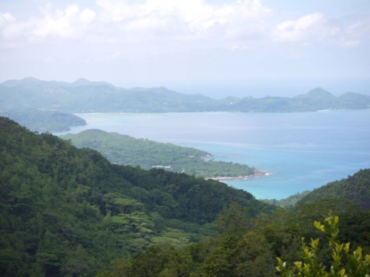 Le blog de Madanm Paton