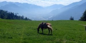 Vis ma vie en Suisse