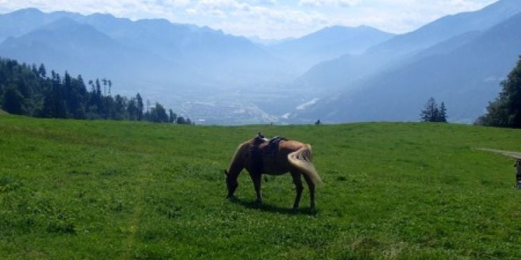 Vis ma vie en Suisse