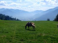 Vis ma vie en Suisse