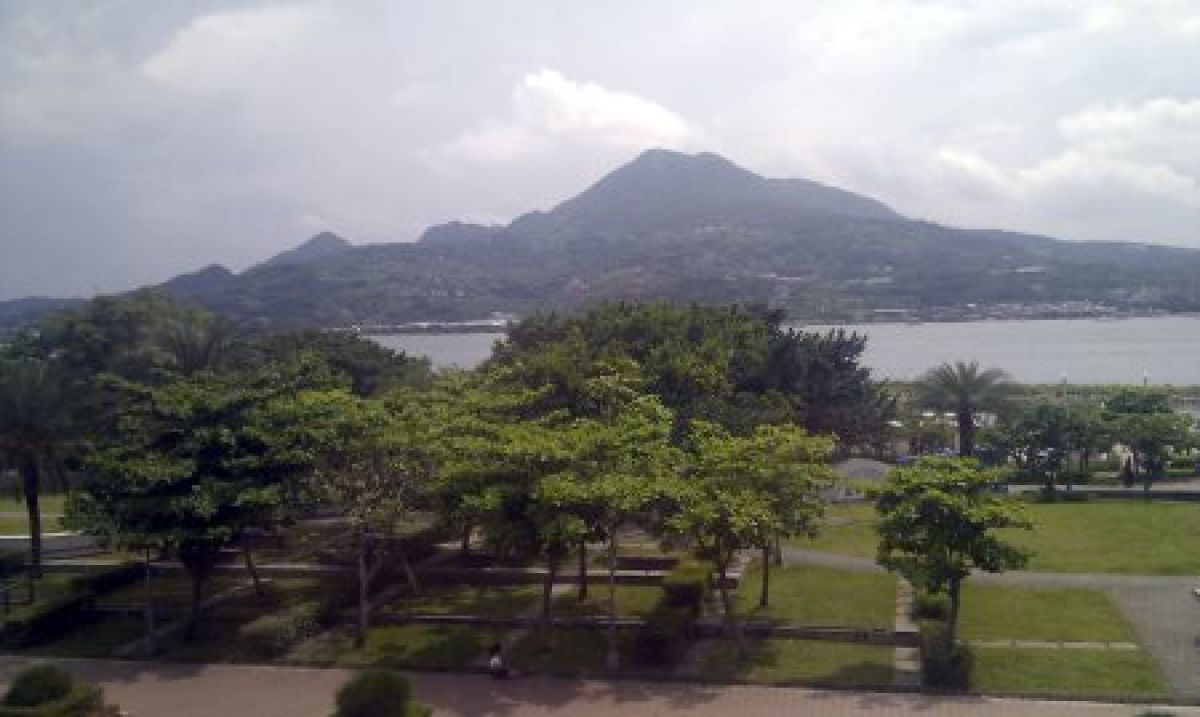 Les tribulations de la famille Raton