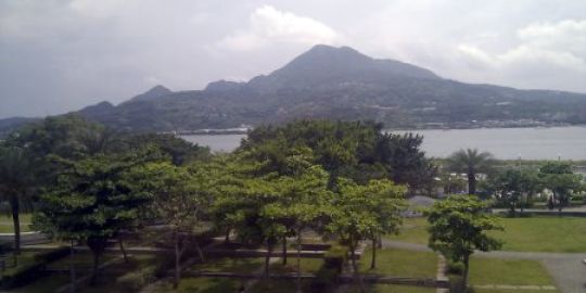 Les tribulations de la famille Raton