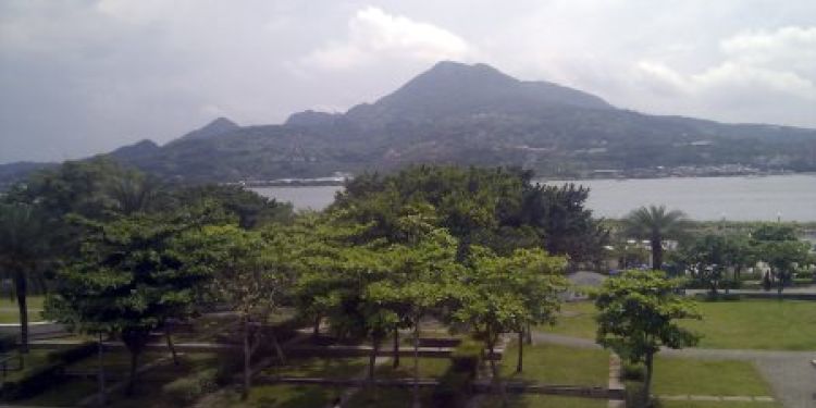 Les tribulations de la famille Raton