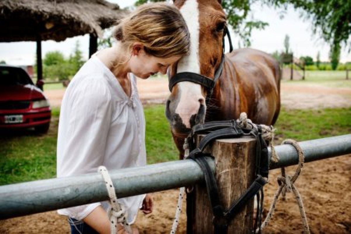 Noruega en Argentina
