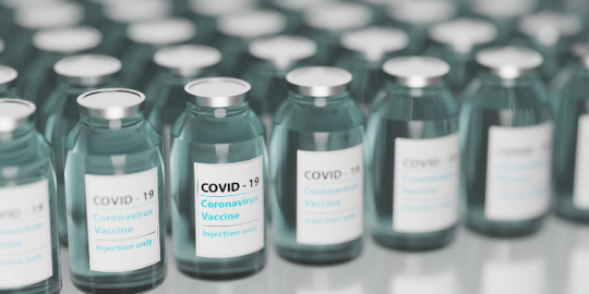 Lactu de l'île en un clic