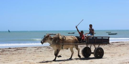 Le blog d'une famille expatriée au Brésil