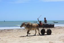 Le blog d'une famille expatriée au Brésil