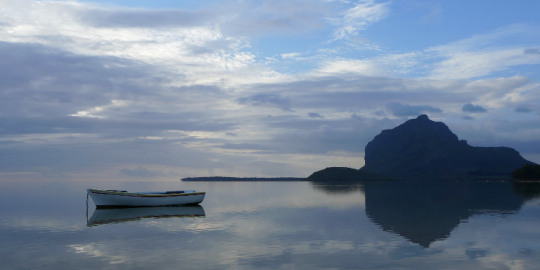 Lactu à Maurice en un coup doeil