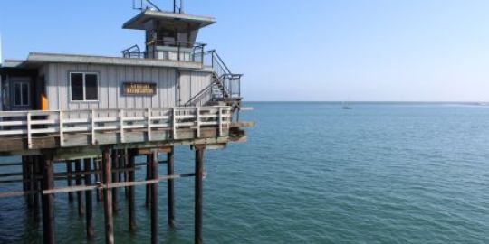 Pendant ce temps à Santa Cruz