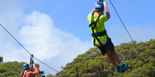 Lactu de la semaine du 15/02 en un clic