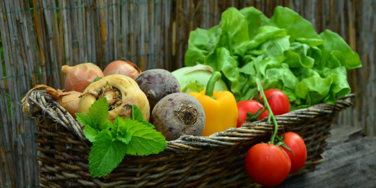 Lactu de la semaine du 1er mars