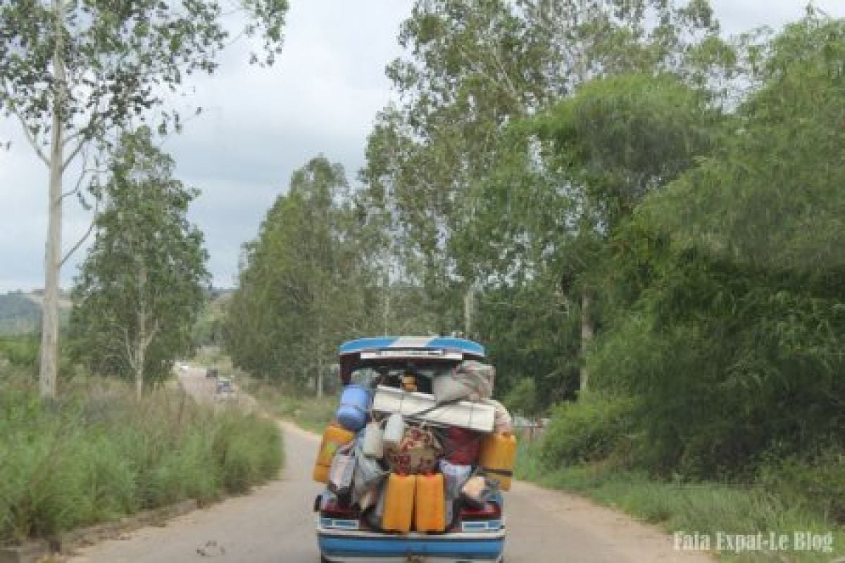 Fafa Expat (Tribulations d'une maman expat au Congo)