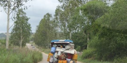 Fafa Expat (Tribulations d'une maman expat au Congo)