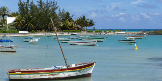 L'actu de la semaine du 15 mars à lîle Maurice