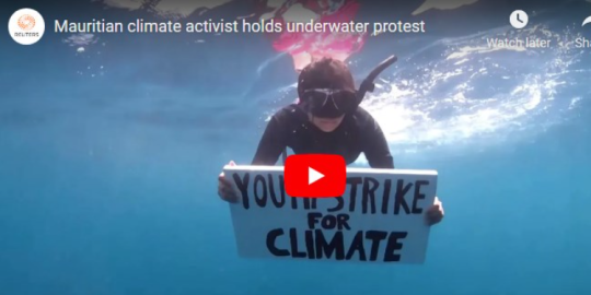 Lactu de la semaine du 22 mars