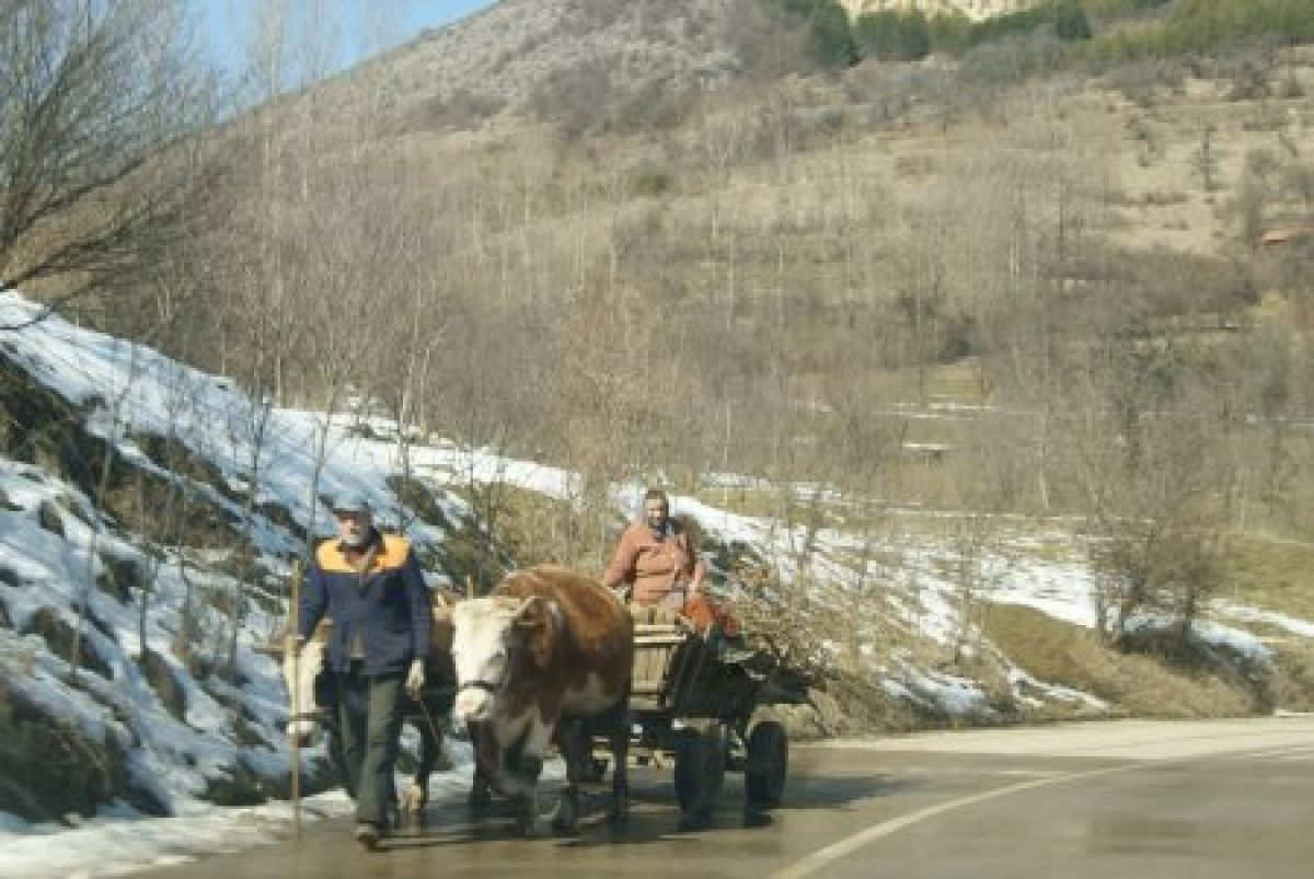 Chronicles of Serbia