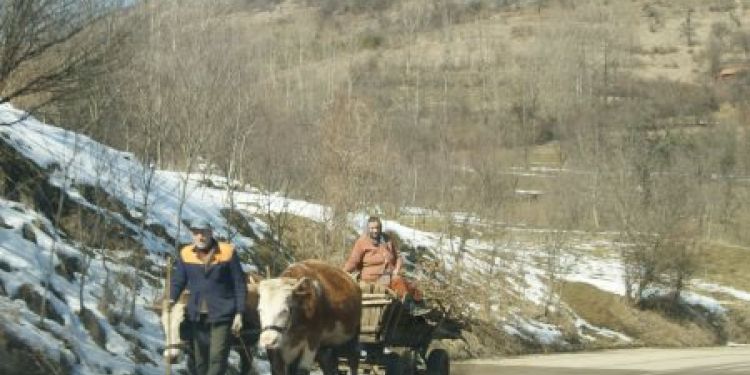 Chronicles of Serbia