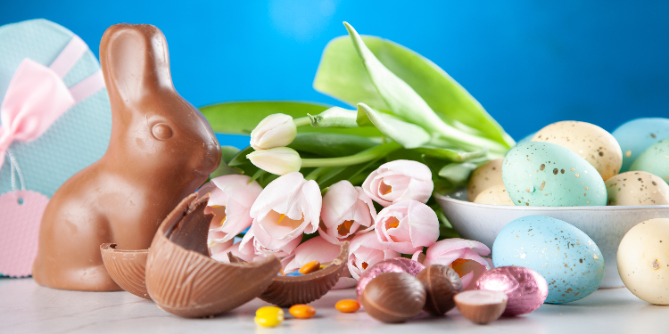 chocolate eggs and rabbit