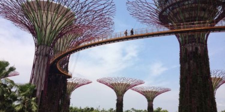 Un zeste de Singapour