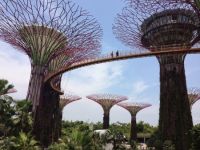 Un zeste de Singapour