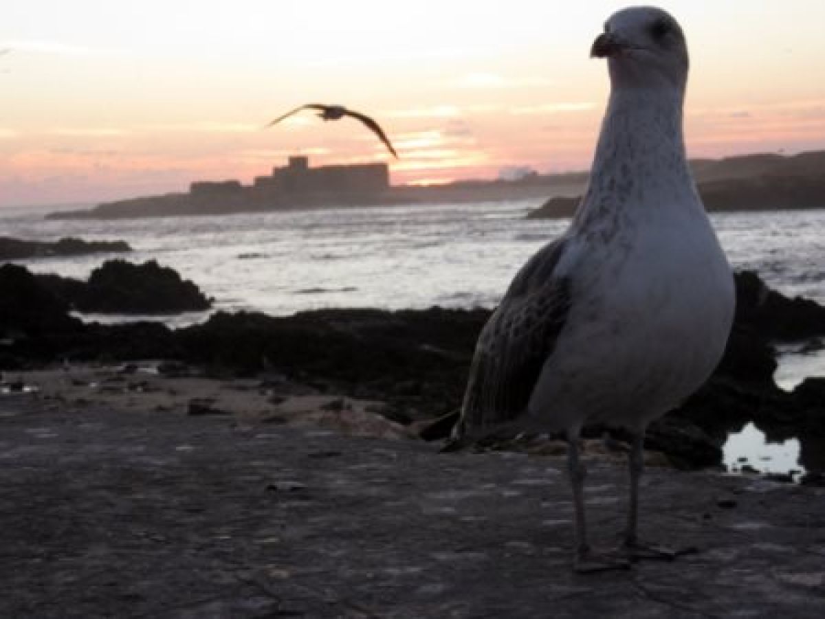 Unpacking my bottom drawer in Budapest