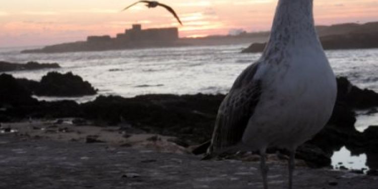 Unpacking my bottom drawer in Budapest