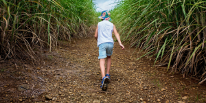 Running spots to enjoy the country during this lockdown