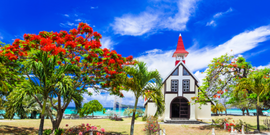 L'actu de la semaine du 30 juin en bref