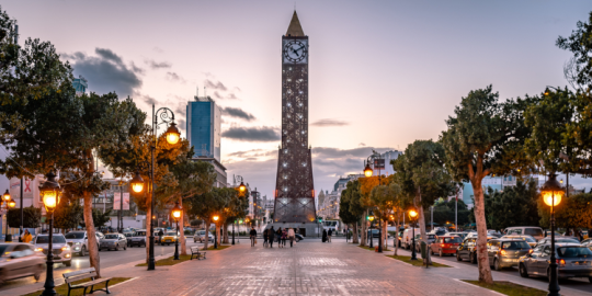 Pamela e famiglia in Tunisia: 