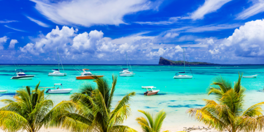 L'actu de cette deuxième semaine de juillet en bref