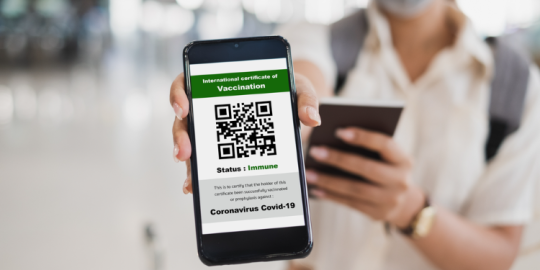 Extension du pass sanitaire en France : Les expats français laissés-pour-compte ?