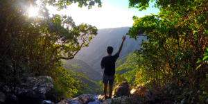 Explore: Black River National Park