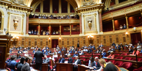 Français hors de France : 6 nouveaux sénateurs en fonction ce vendredi