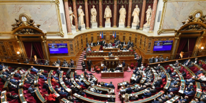 Les revendications des Français de l'étranger après les sénatoriales