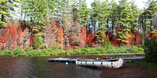Audrey à Montréal : « La culture canadienne est ouverte, tolérante, positive et simple »