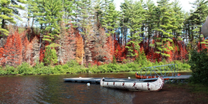 Audrey à Montréal : « La culture canadienne est ouverte, tolérante, positive et simple »