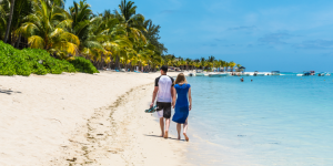 Actualité de la semaine : la barre des 100 000 visiteurs depuis octobre bientôt atteinte