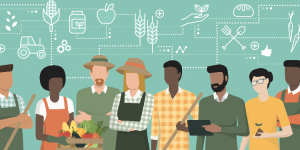 Trabajos agrícolas de temporada en Francia