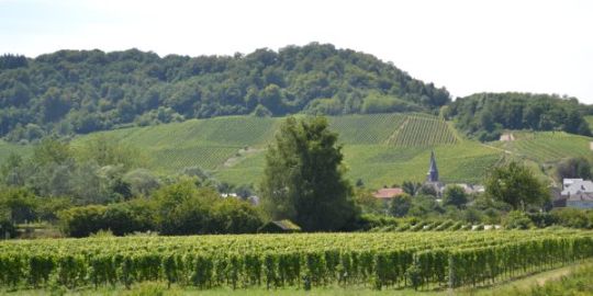 Valérie en Moselle : « il y a une grande variété de paysages et de choses à découvrir »