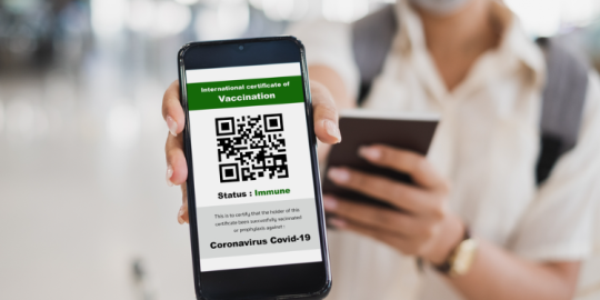 Pass sanitaire numérique à Maurice : comment l'obtenir quand on s'expatrie